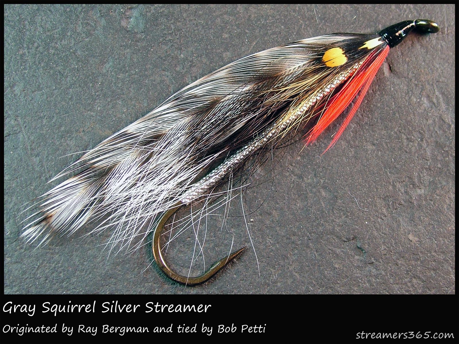 274 - Grey Squirrel Silver Streamer, Global FlyFisher