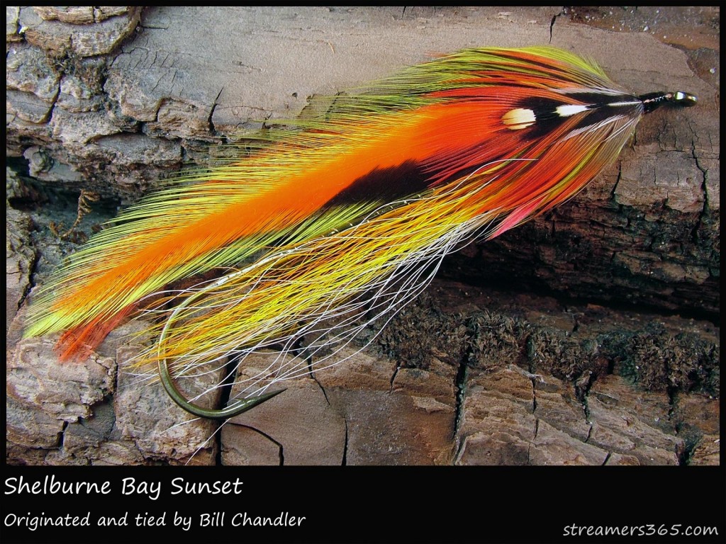 #281 Shelburne Bay Sunset - Bill Chandler