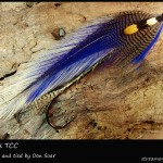 #283 St. Louis - Team Colors Collection - Don Soar