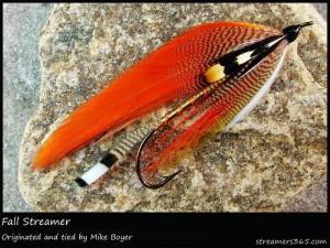 #284 Fall Streamer - Mike Boyer