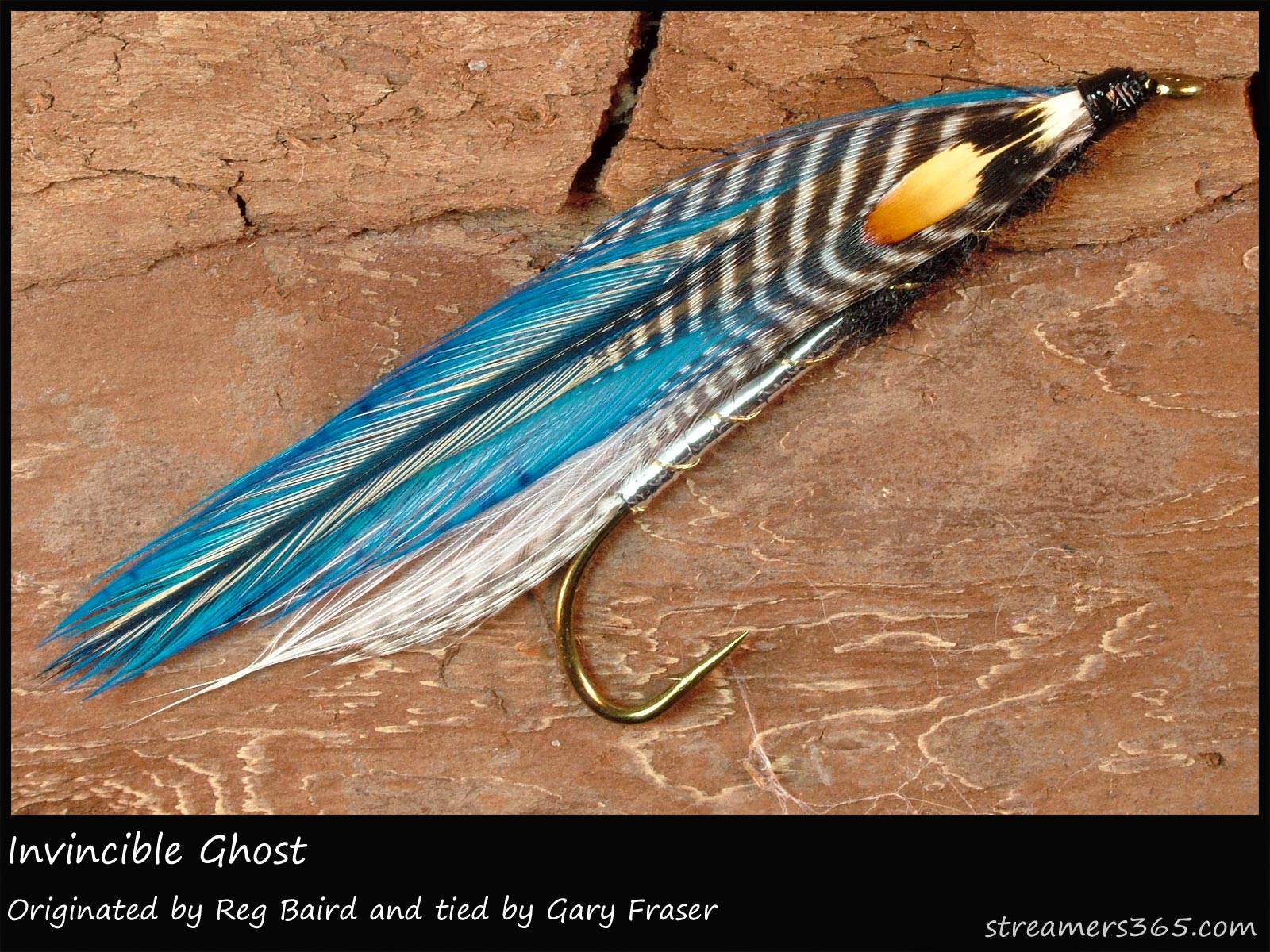 Fish-Field Ghost Thread