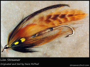 #356 Lion Streamer - Davie McPhail