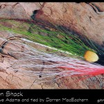 #13-2013 Adams' Salmon Shack - Darren MacEachern