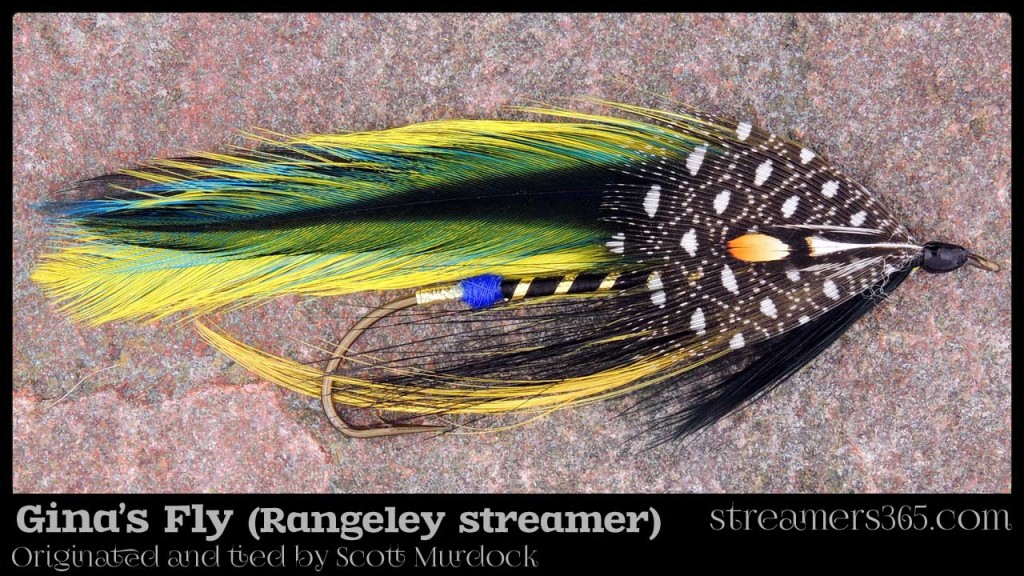 Gina's Fly - Rangeley Streamer by Scott Murdock