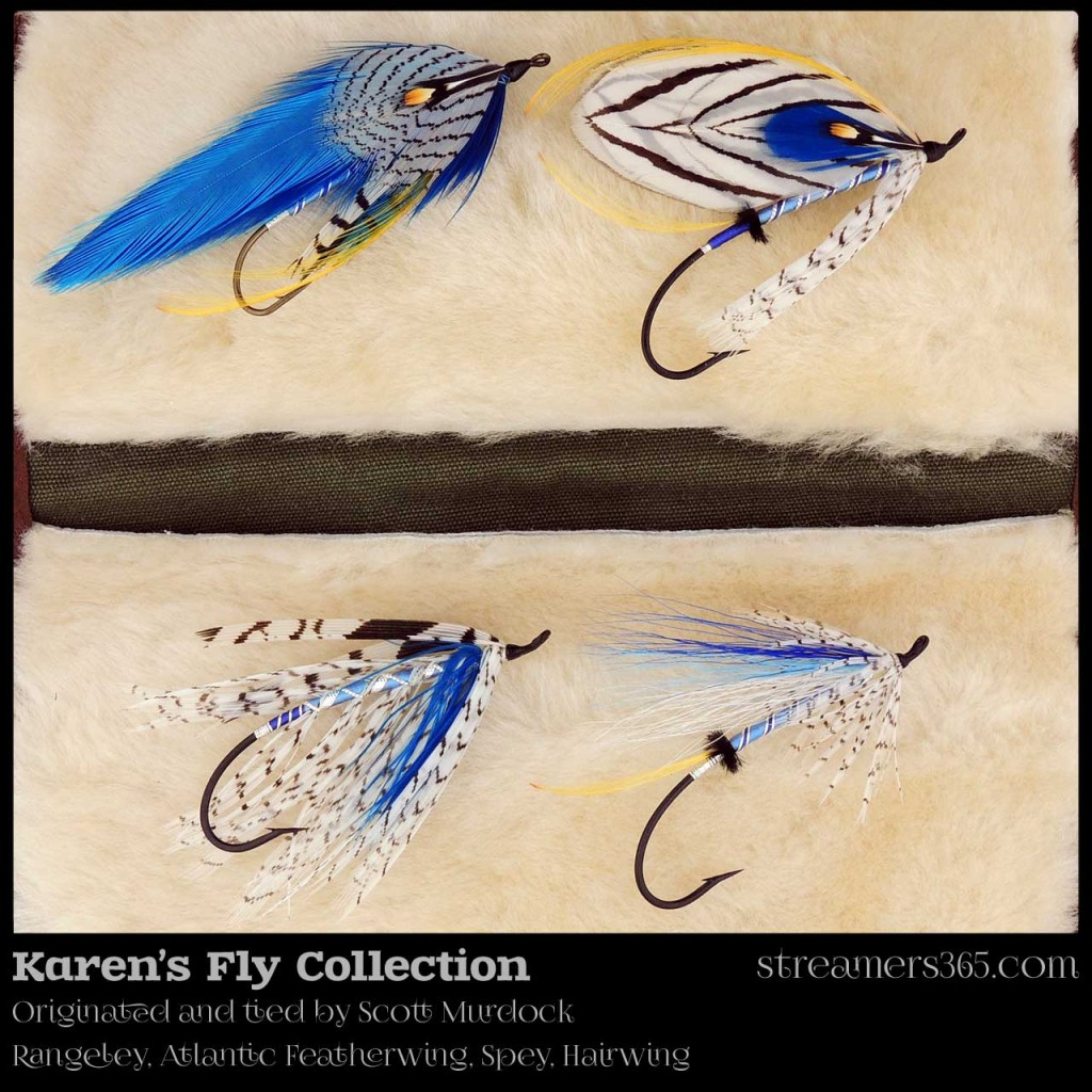 Karen's Fly series by Scott Murdock