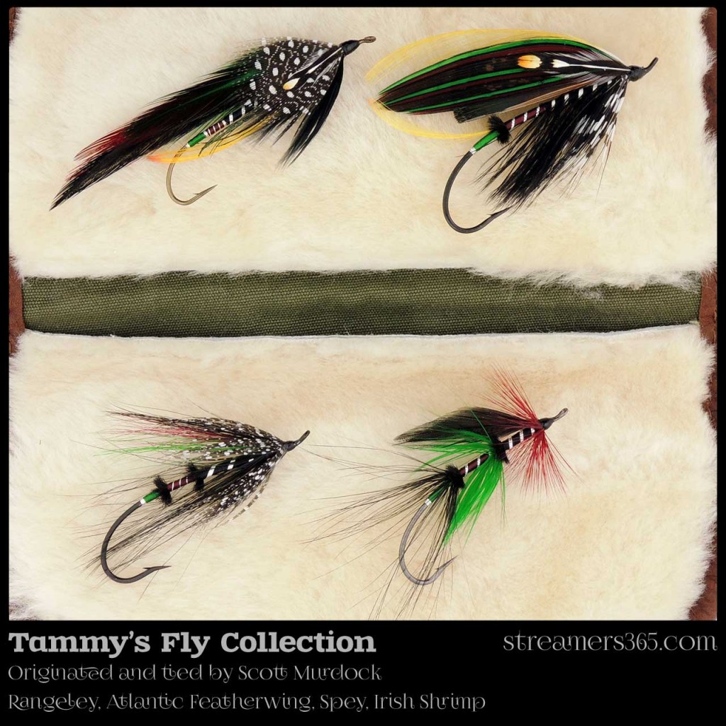 Tammy's Fly series by Scott Murdock