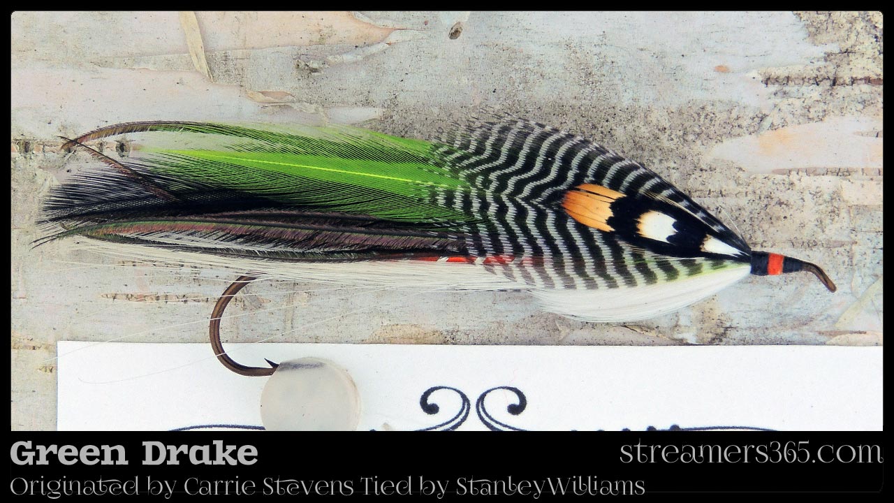 Green Drake originated by Carrie Stevens and tied by Stanley Williams