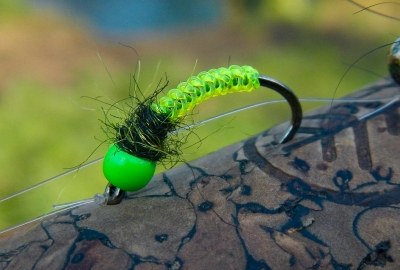 The Octopus, Global FlyFisher