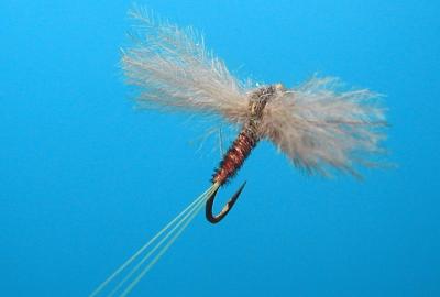 ! ! ! Index Of Orvis Fly Patterns Volume １ ＆ 2 オービス フライパターン 全２巻 !.!.!