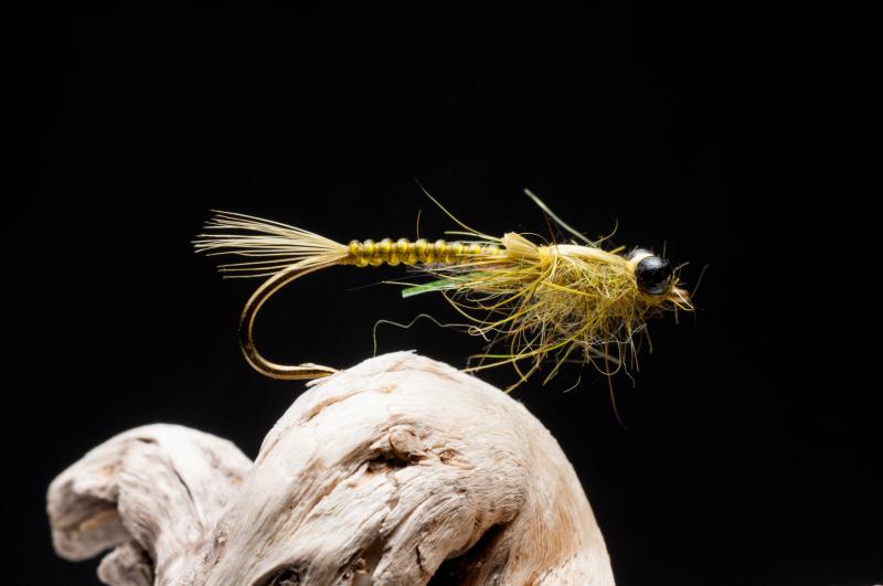 Dragonfly Nymph Global FlyFisher