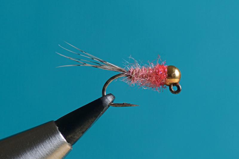 Modified Hare's Ear Jig Nymph on barbless hooks only - Worldwide