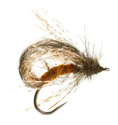 Brown Sedgeetle