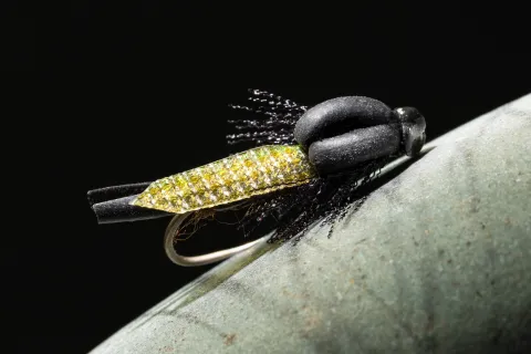 Surgical Stonefly
