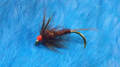 Video thumb for Fiery Brown Cruncher