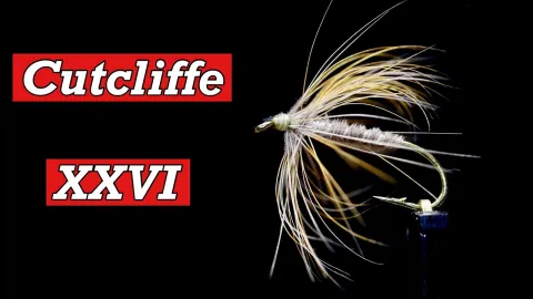 Video thumb for Cutcliffe XXVI