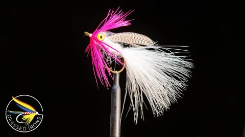 Video thumb for Remnant Fly 37 - White Bass
