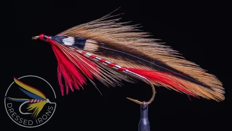 Video thumb for Royal Tiger