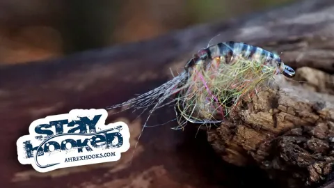 Video thumb for Pro Gammarus