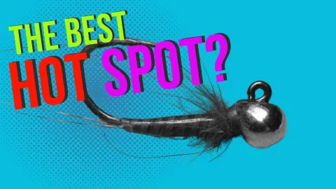 Video thumb for Is This The Best Hot Spot?