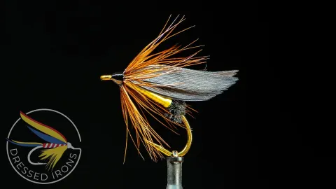 Video thumb for Imbrie