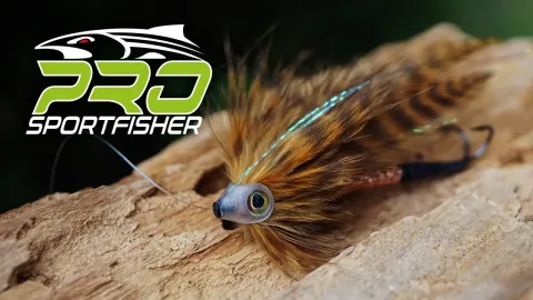 Video thumb for JK Brownspeckled Baitfish