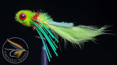 Video thumb for Wilson's Bass Bully