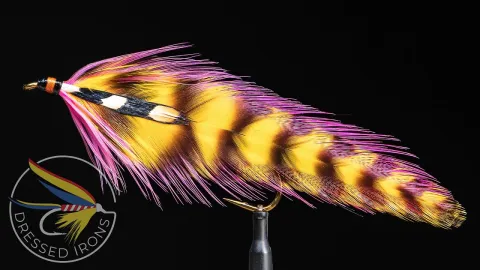 Video thumb for Jungle Queen