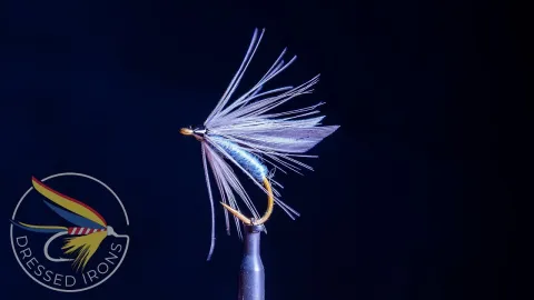 Video thumb for Dusty Miller