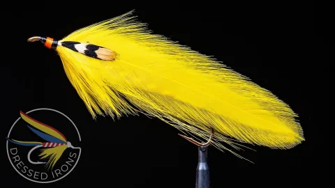 Video thumb for Canary
