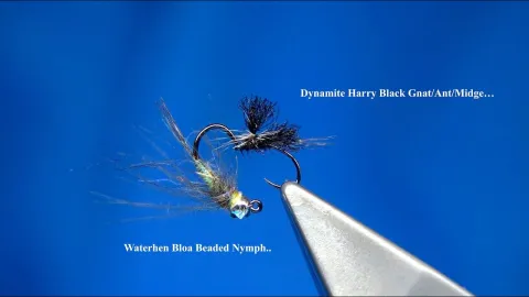Video thumb for Dynamite Harry Black Gnat & CDC Waterhen Bloa Euro Nymph