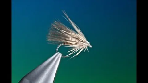Video thumb for Alpha Caddis