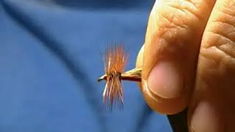 Video thumb for Sofa Pillow