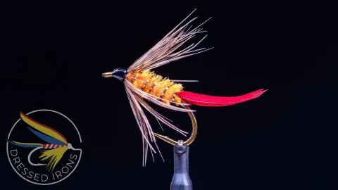 Video thumb for Grouse Spider