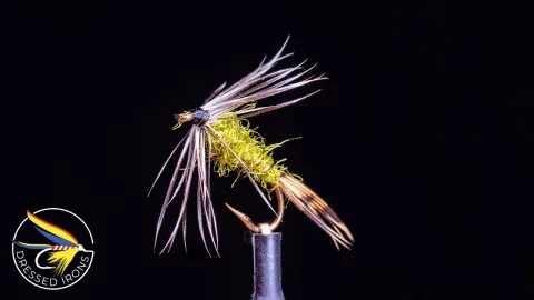 Video thumb for Remnant Fly #39 - Olive Nymph