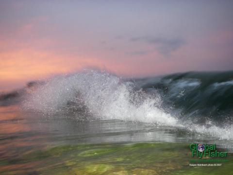 Breaking Wave In The Flashlight Global Flyfisher