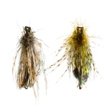 Sedgeetles