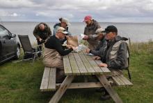 Magnus White, Streamer Baltic Sea Trout - Taimen