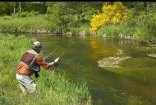 Fishing a bubble, Global FlyFisher
