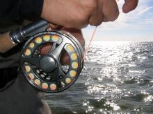 How to Clean a Reel and Care Guide After Fishing