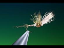Euro BWOs | Global FlyFisher | Blue-Winged Olives (BWOs) are very ...