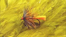 Video thumb for Muirhead Bumble