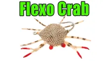 Video thumb for Flexo Crab