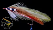 Video thumb for Chief