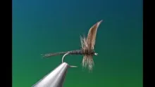 Video thumb for Classic Black Gnat