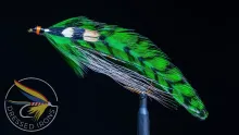 Video thumb for Green Witch