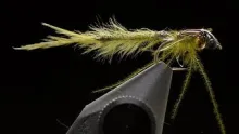 Video thumb for Hula Damsel Nymph