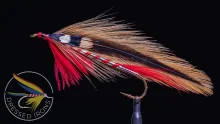 Video thumb for Royal Tiger