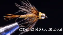 Video thumb for CDC Golden Stone Fly