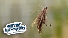 Video thumb for Grandis