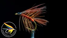 Video thumb for Down Looker
